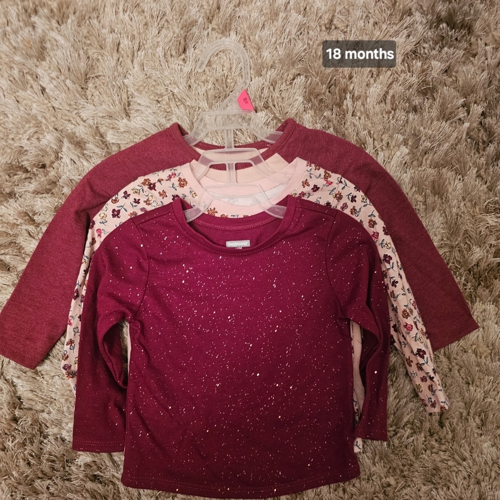 Garanimals Red and Pink Long Sleeve Tees Set